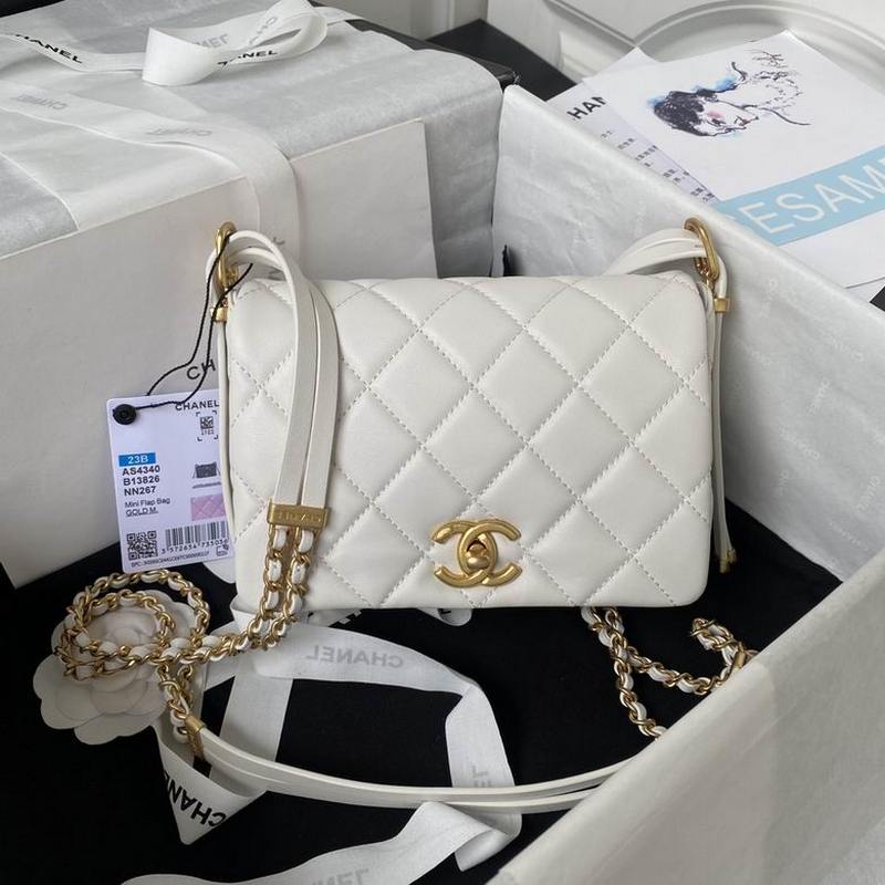 Chanel Handbags 129